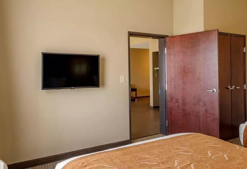 בית מלון כפרי Comfort Suites Batesville