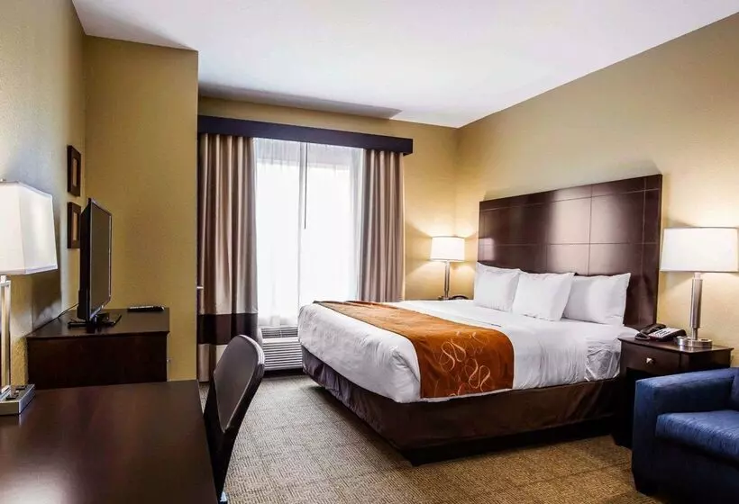 ホテル Comfort Suites Northwest  Cy  Fair
