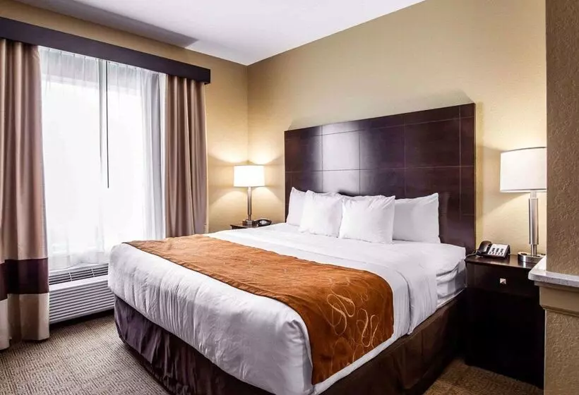 ホテル Comfort Suites Northwest  Cy  Fair