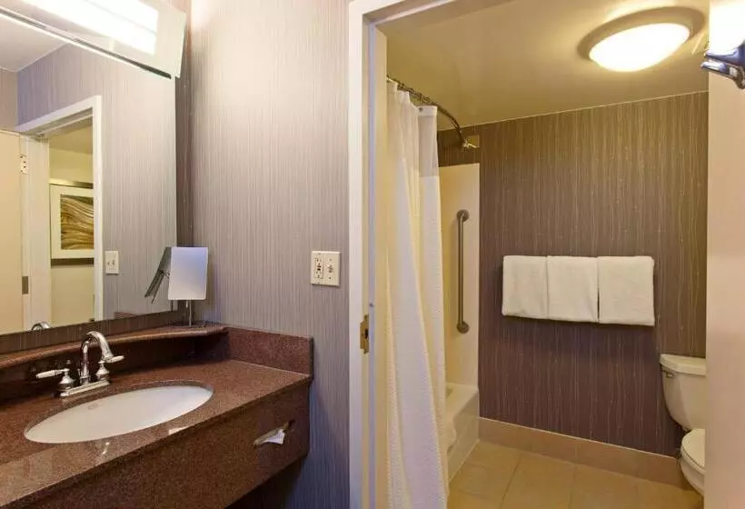 Otel Courtyard San Diego Central