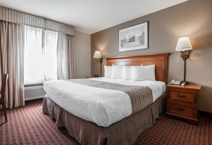 酒店 Econo Lodge Federal Way