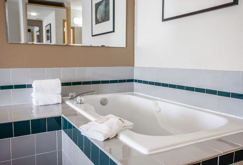 酒店 Econo Lodge Federal Way