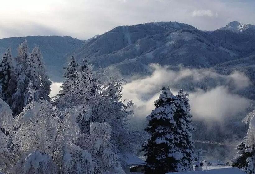 Отель Orso Grigio