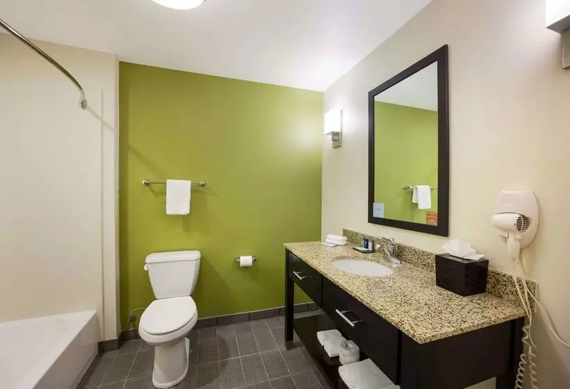 酒店 Sleep Inn & Suites