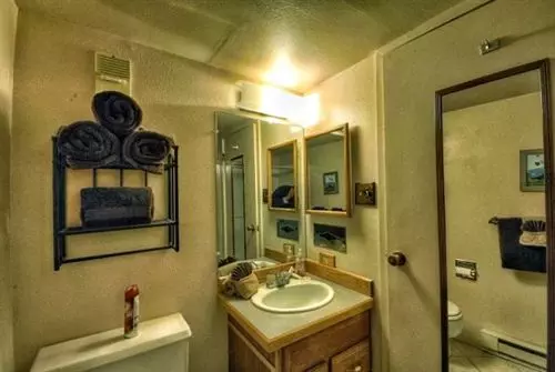 בית מלון כפרי The Rockies Condominiums