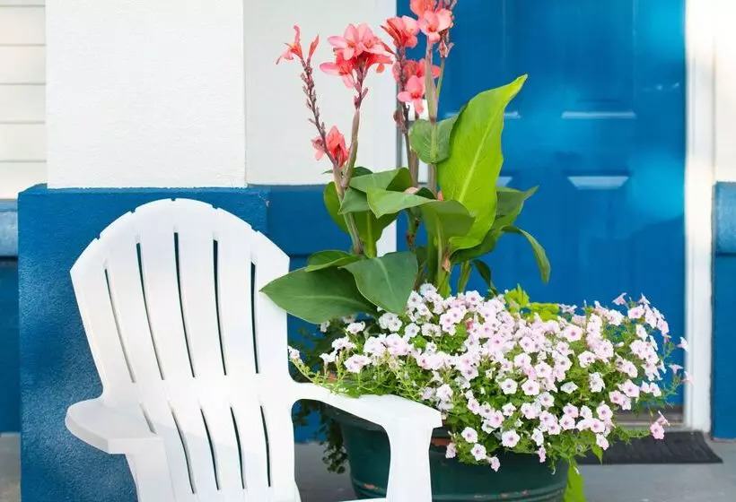 モーテル Rodeway Inn