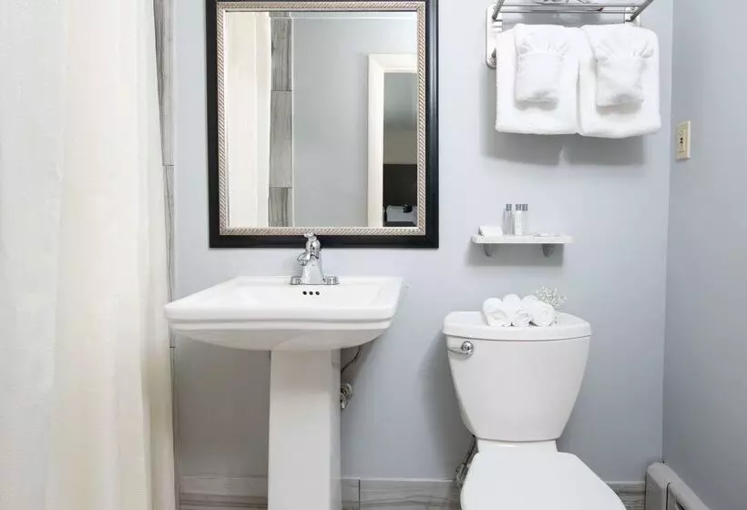 モーテル Rodeway Inn