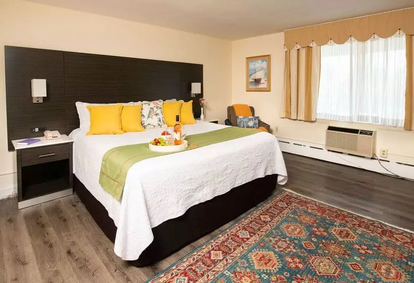 モーテル Rodeway Inn