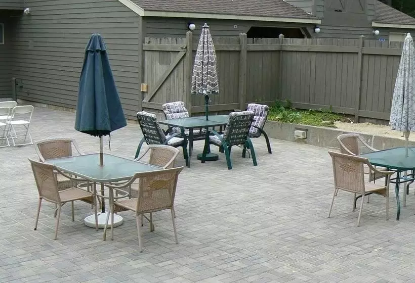 渡假胜地 Snowy Owl Inn