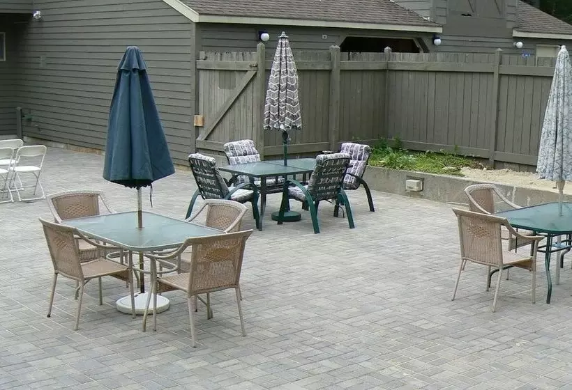 渡假胜地 Snowy Owl Inn