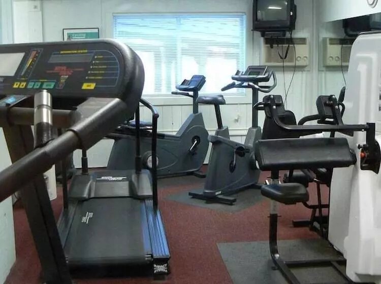 渡假胜地 Snowy Owl Inn