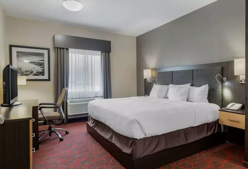 ホテル Best Western Plus Eastgate Inn & Suites