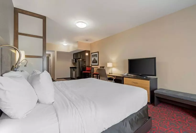 ホテル Best Western Plus Eastgate Inn & Suites