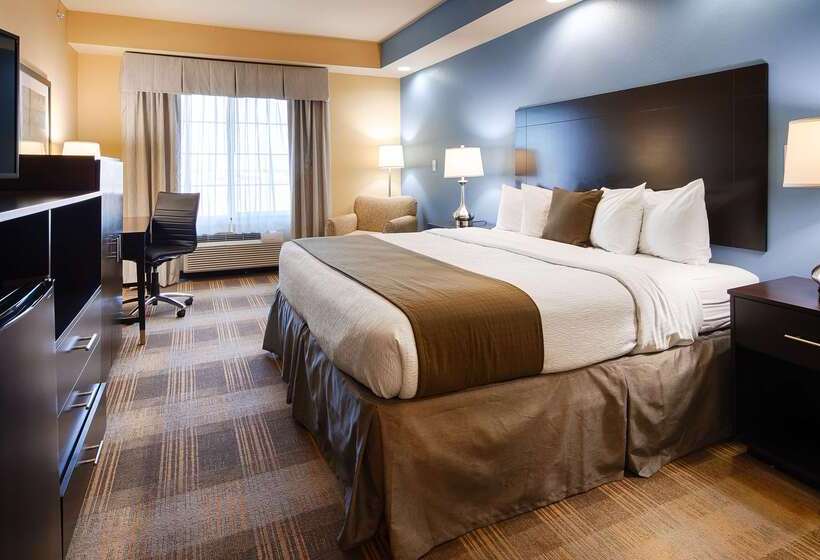 ホテル Best Western Plus Fort Worth Forest Hill Inn & Suites