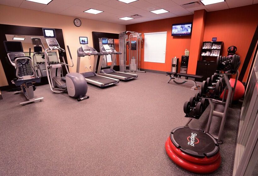 酒店 Hampton Inn & Suites Albany At Albany Mall