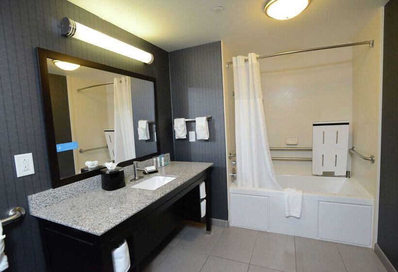 酒店 Hampton Inn & Suites Albany At Albany Mall