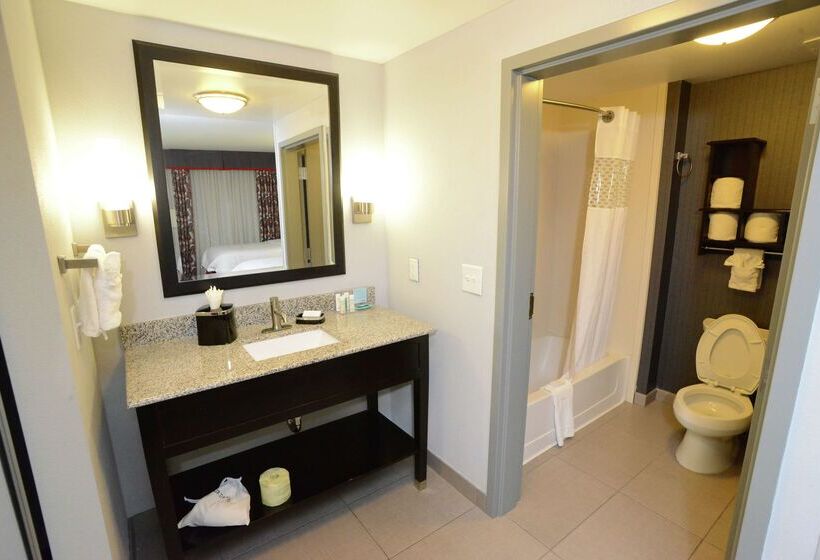 酒店 Hampton Inn & Suites Albany At Albany Mall