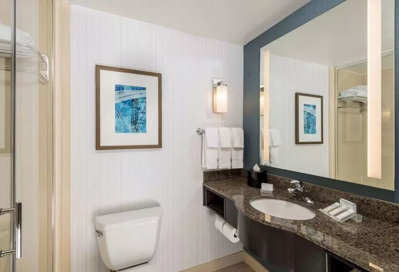 בית מלון כפרי Hilton Garden Inn Silver Spring White Oak