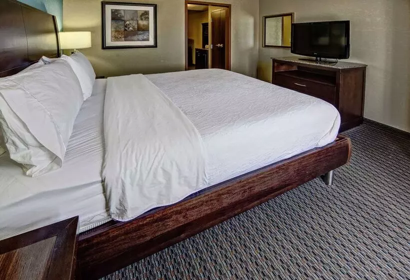 هتل Hilton Garden Inn Tulsa Midtown