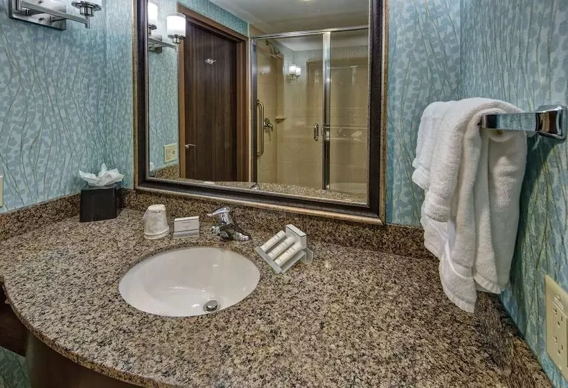 هتل Hilton Garden Inn Tulsa Midtown