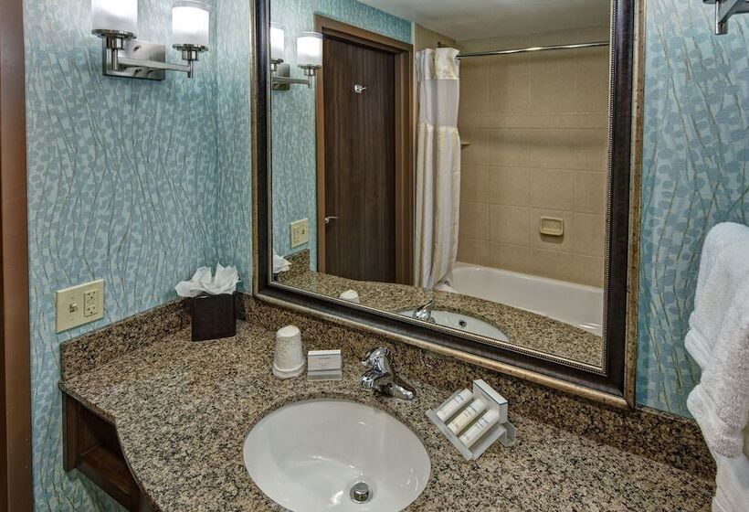 בית מלון כפרי Hilton Garden Inn Tulsa Midtown