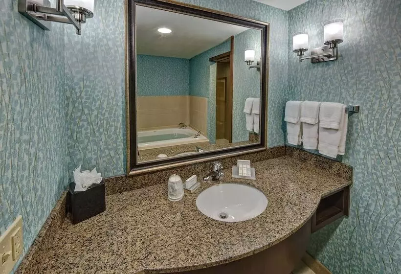 هتل Hilton Garden Inn Tulsa Midtown