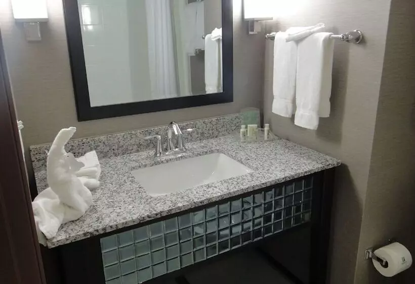 Holiday Inn Hotel & Suites Northwest San Antonio, An Ihg