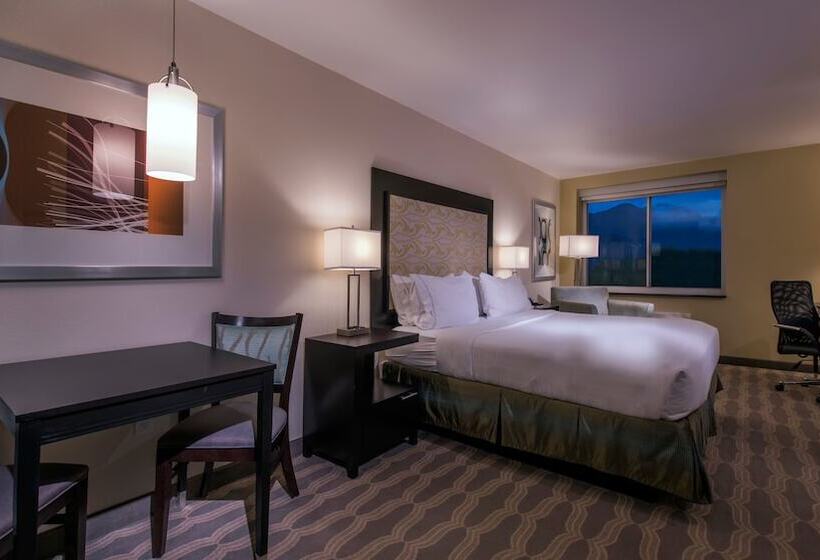 هتل Holiday Inn Express & Suites Colorado Springs Central, An Ihg