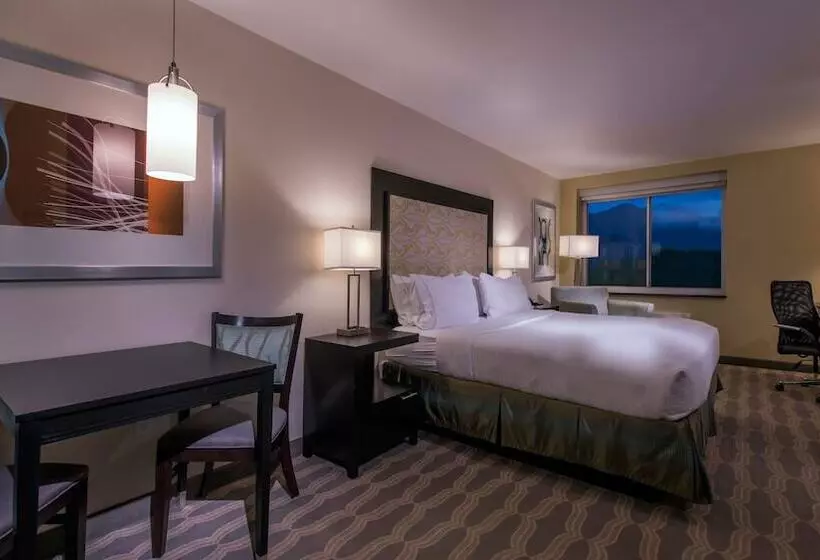 酒店 Holiday Inn Express & Suites Colorado Springs Central, An Ihg