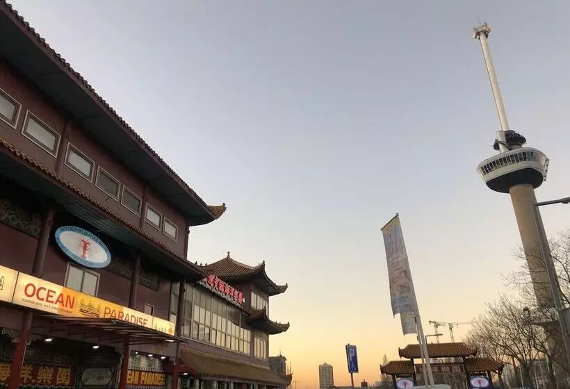 酒店 New Ocean Paradise