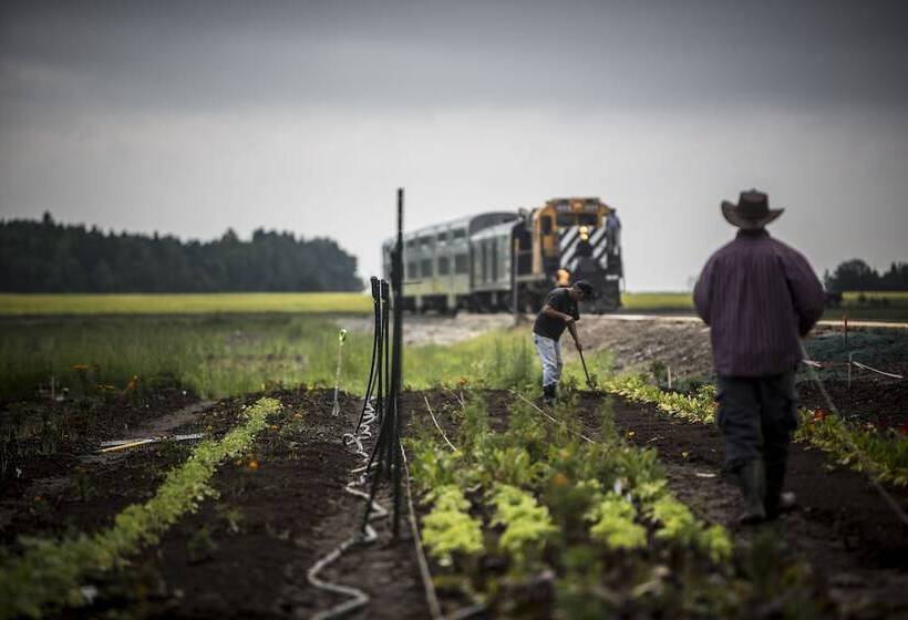 فندق & Spa Le Germain Charlevoix