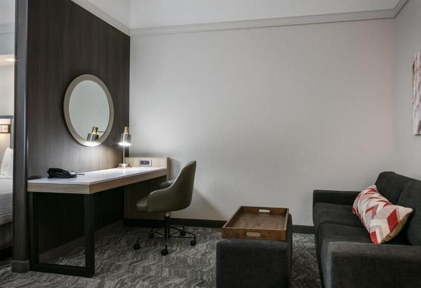 هتل Springhill Suites By Marriott Cheyenne