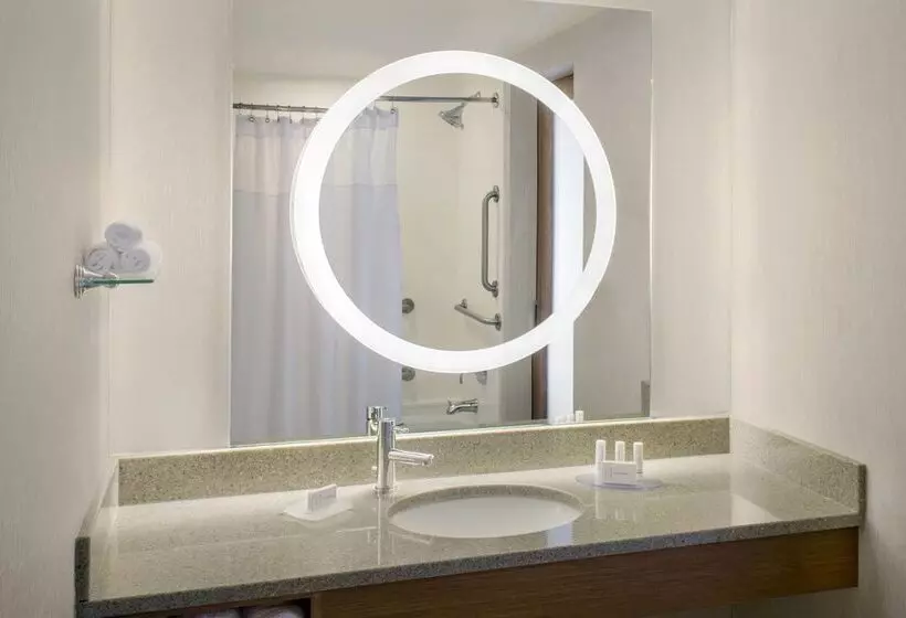 בית מלון כפרי Springhill Suites Long Island Brookhaven