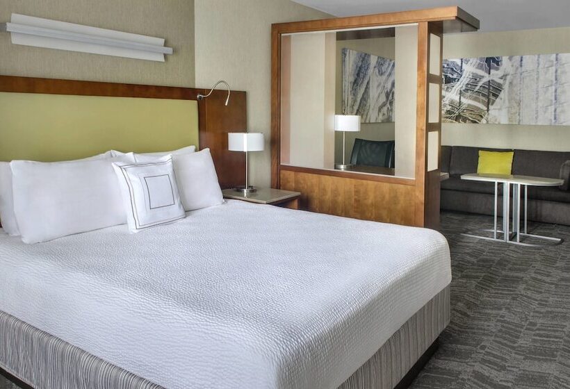 Отель Springhill Suites Long Island Brookhaven