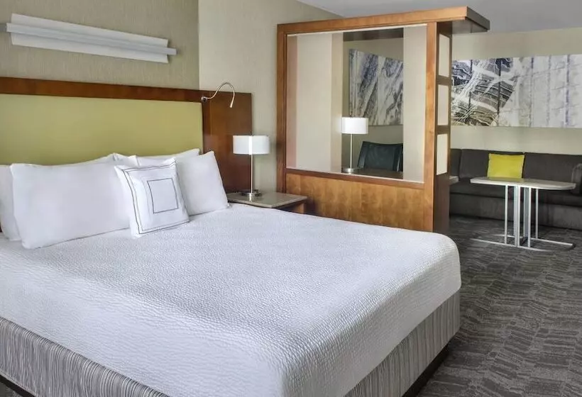 בית מלון כפרי Springhill Suites Long Island Brookhaven