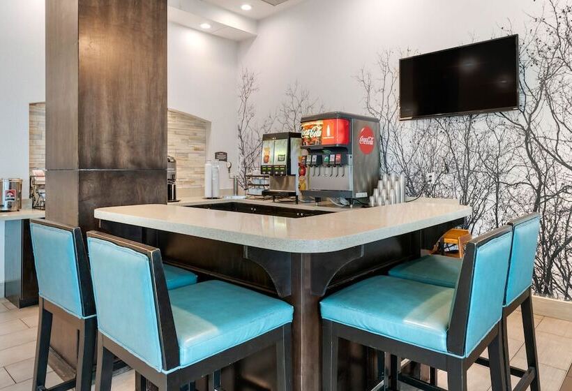 בית מלון כפרי Staybridge Suites St. Petersburg Fl, An Ihg