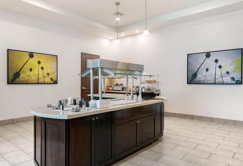 בית מלון כפרי Staybridge Suites St. Petersburg Fl, An Ihg