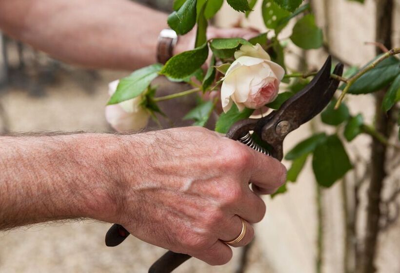 酒店 The Originals Boutique, Hôtel De La Paix, Beaune