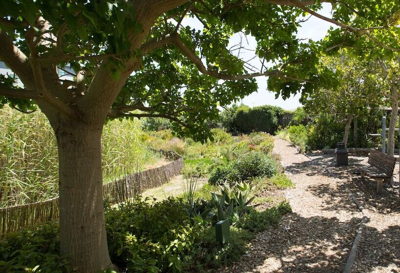Отель Verde Cape Town Airport