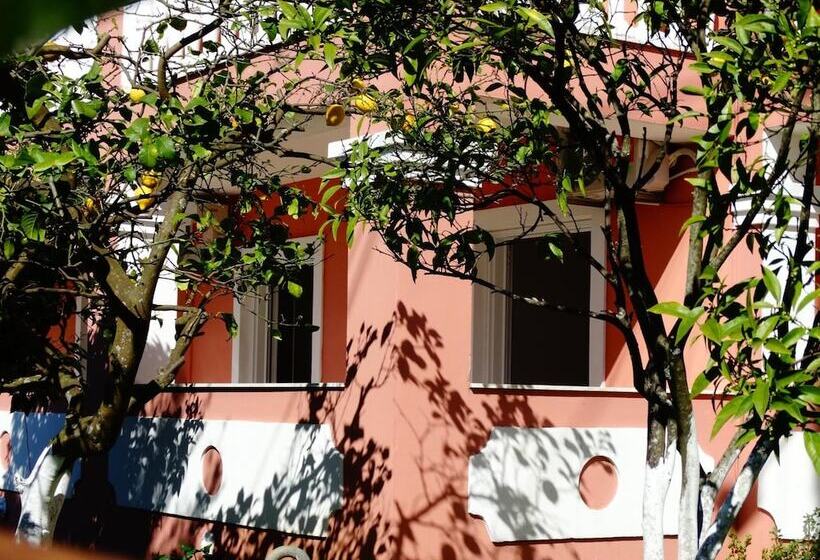 Lemon Tree Corfu Apartments By Konnect