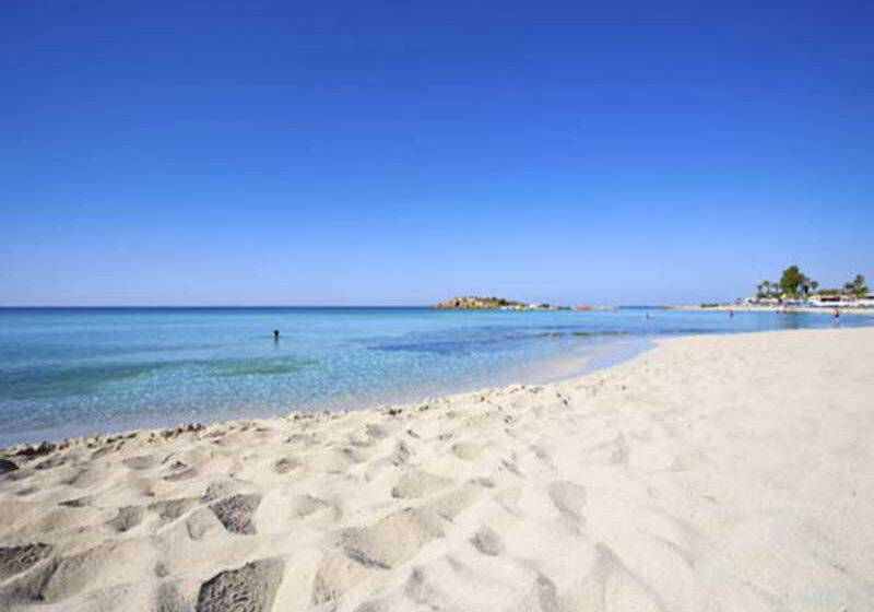 Margarita Napa Apartments