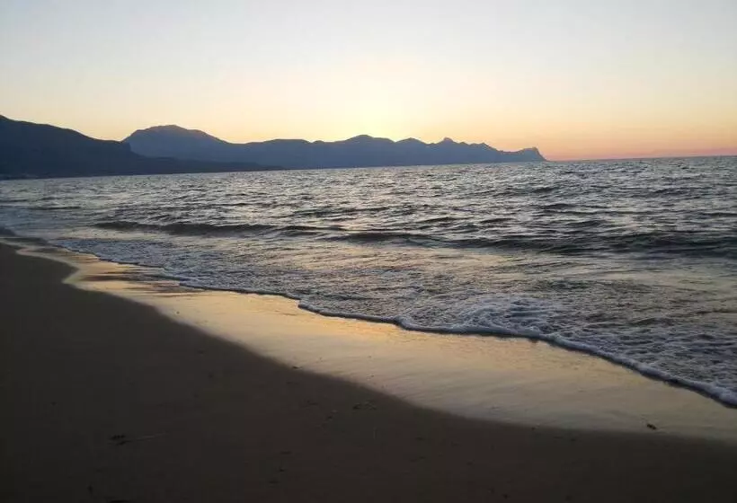 هاستل Enny Camere