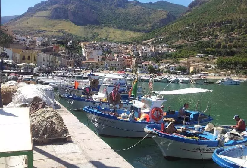 هاستل Enny Camere