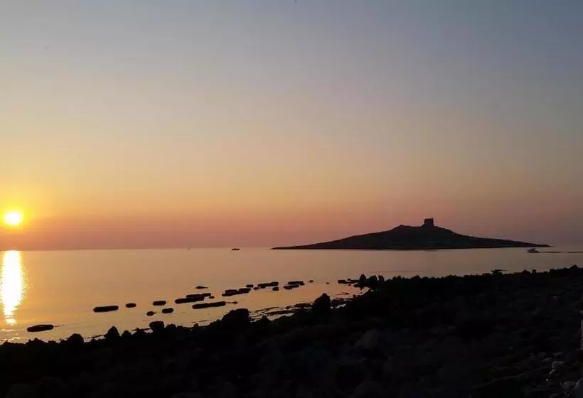 هاستل Enny Camere