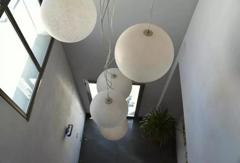 هاستل Enny Camere