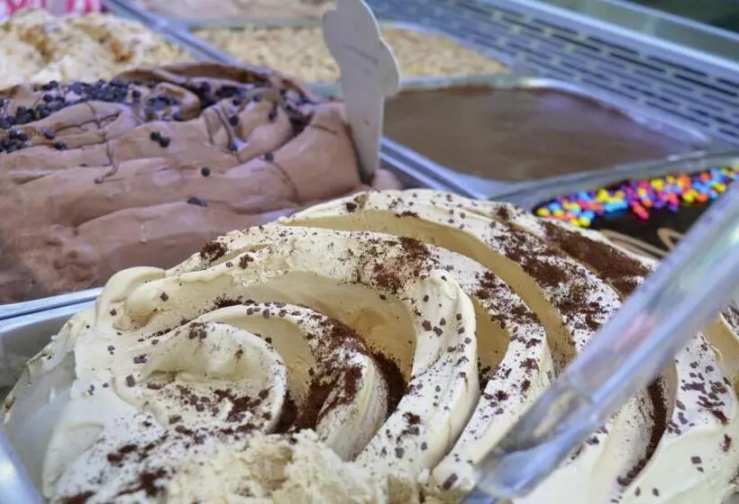 هاستل Enny Camere