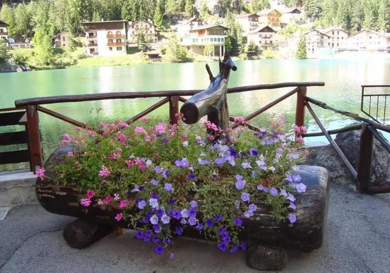 בית מלון כפרי Adriana