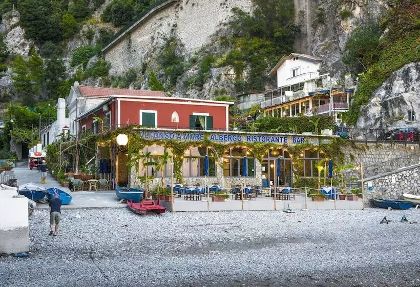 Отель Alfonso A Mare