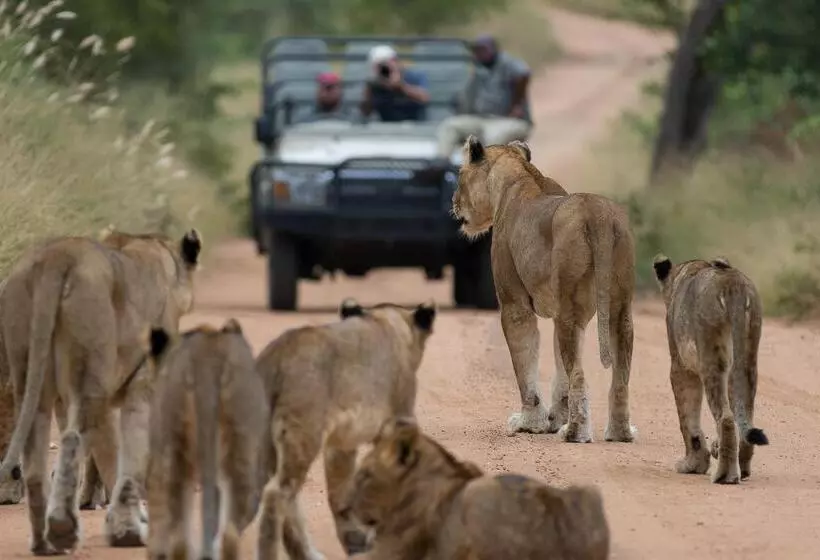 Hotelli Kapama Private Game Reserve - Kapama Southern Camp