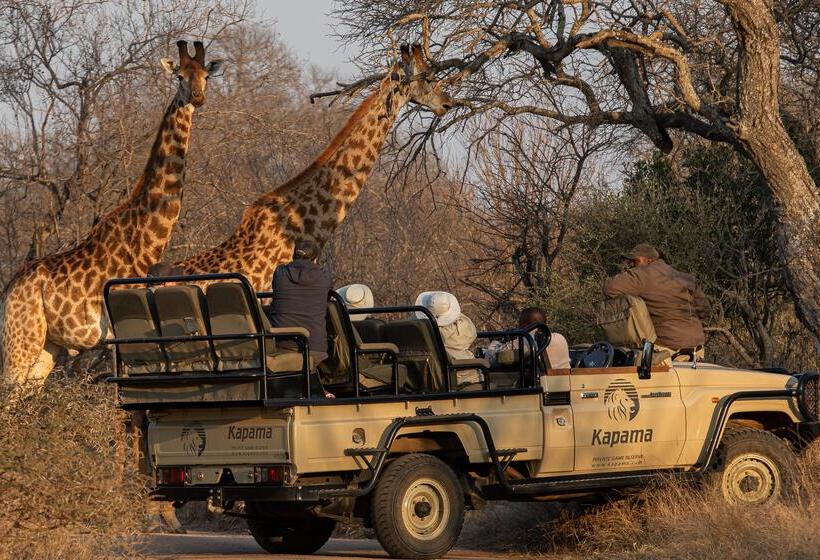 酒店 Kapama Private Game Reserve - Kapama Southern Camp